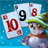 icon Solitaire Frozen 11.800.20