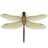 icon Dragonfly 1.27