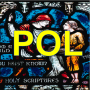 icon Audio Biblia w Języku Polskim for Allview V3 Viper
