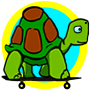 icon Crazy Turtle Skateboarding