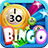 icon Bingo Fever 1.15