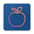 icon iOS Widgets 3.3.1