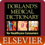 icon Dorland