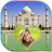 icon TajMahal Frames 1.7