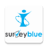 icon IOB Survey Blue 1.41