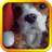 icon Christmas Dog Live Wallpaper 1.0