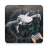 icon GoFlyD.J.IDrone 12.0