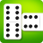 icon Domino 1.60