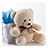 icon Bear Live Wallpaper 3.6