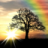 icon Sun Rise Live Wallpaper 3.0
