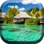 icon Paradise Island Live Wallpaper