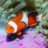 icon Underwater Jigsaw Puzzles 2.11.02