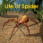 icon Life Of Spider 1.2