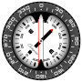 icon Compass PRO for Huawei MediaPad T3