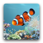 icon aniPet Aquarium LiveWallpaper for tecno W1