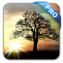 icon Sun Rise Live Wallpaper