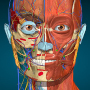 icon Anatomy Learning - 3D Anatomy for Xtouch Unix Pro