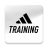 icon Training 6.27