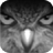 icon EagleEyes 1.9.6
