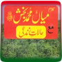 icon Kalam Mian Muhammad Bakhsh R.A