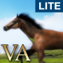 icon VA Horse Wallpaper 