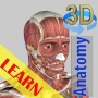 icon 3D Bones and Muscles Anatomy
