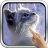 icon Interactive Kitten 7.0