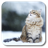 icon Snow Cat 1.1