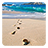 icon Sea Sand Live Wallpaper 2.1