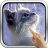 icon Interactive Kitten 6.0