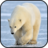 icon Polar Bear Wallpapers 1.0