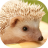 icon Hedgehogs live wallpaper 3.1