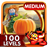 icon Pumpkin Farm 75.0.0