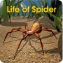 icon Life Of Spider