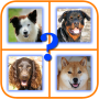 icon Good Dog