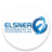 icon Elsner 1.0