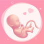 icon Pregnancy Tracker Week By Week for Vertex Impress Dune