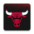 icon Chicago Bulls 4.0.18