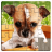 icon Dog Puzzles 36.0