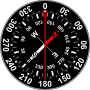 icon Compass