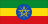 icon Constitution of the FDRE 1.1