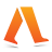 icon Accupedo 9.1.5.1