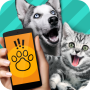 icon Pet Translator
