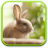 icon Cute Animals Live Wallpaper 1.0.3