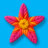 icon Twisted Tangle 1.71.3