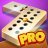 icon Dominoes 8.6