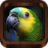 icon Bird Calls 1.1.2