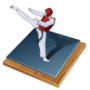 icon Taekwondo Bible