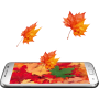 icon 3D Maple Live Wallpaper