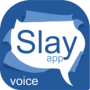 icon Slay App